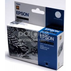Cartus Cerneala Epson Ink Cartridge photo black;Stylus Photo 2100 - C13T03414010